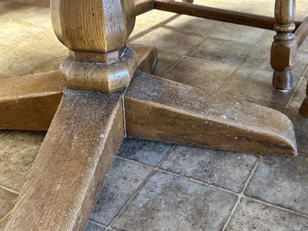 Close-up of a wooden furniture leg covered in mold and mildew documented during a Bayou City contents-restoration assessment